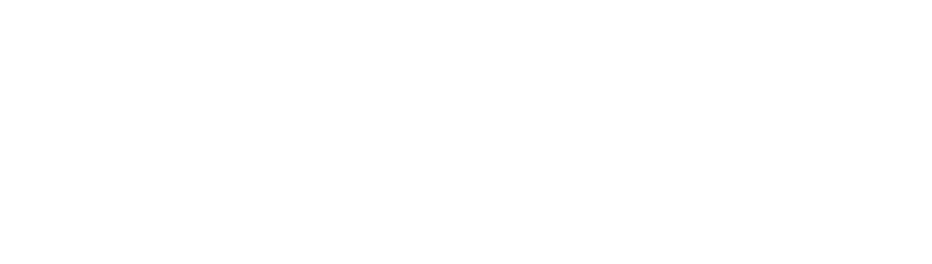 PRAYAV.AI Logo